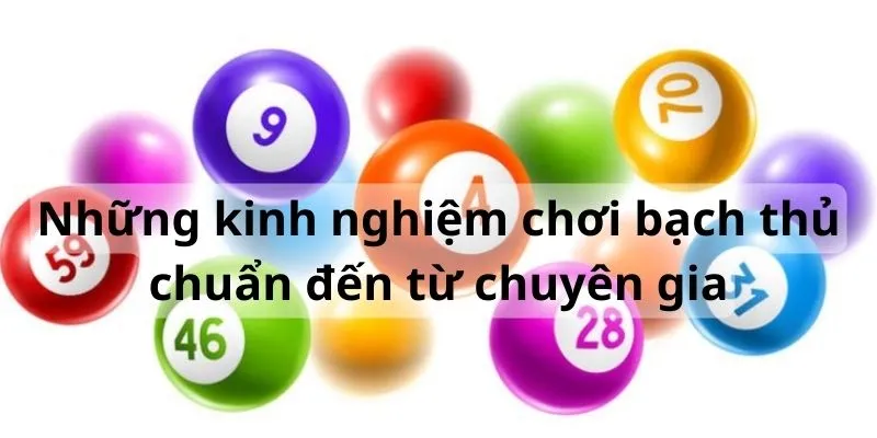 Những kinh nghiệm chơi lô bạch thủ siêu chuẩn đến từ các chuyên gia